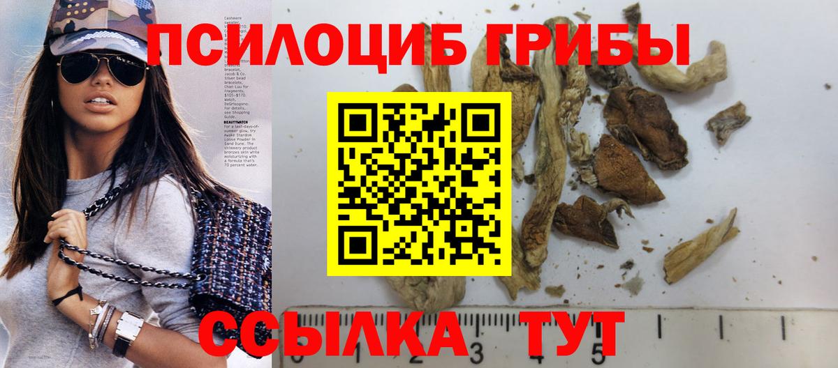 Галлюциногенные грибы прущие грибы Костомукша