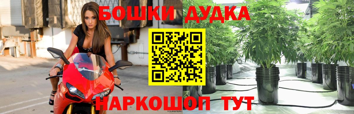 Шишки марихуана OG Kush Костомукша